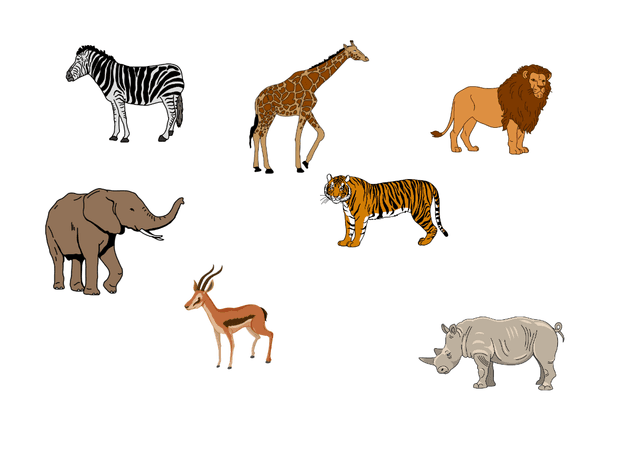 📦 Co v balíčku najdete? Balíček je navržen tak, aby děti bavil, rozvíjel a zároveň je učil přemýšlet: