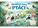 Karty — Ptáci