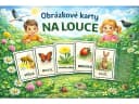 Karty — Na louce